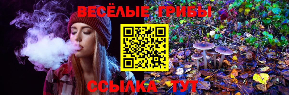 Галлюциногенные грибы Magic Shrooms  Вход с VPN  Саратов 
